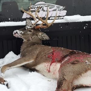 Meet your Posher, Scott